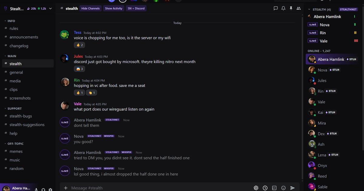 StealthDiscord inside Discord